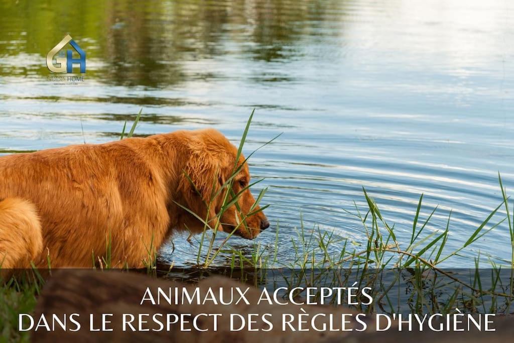 ブルブール *L'Ecrin De L'Etang* Depaysement Assureヴィラ エクステリア 写真